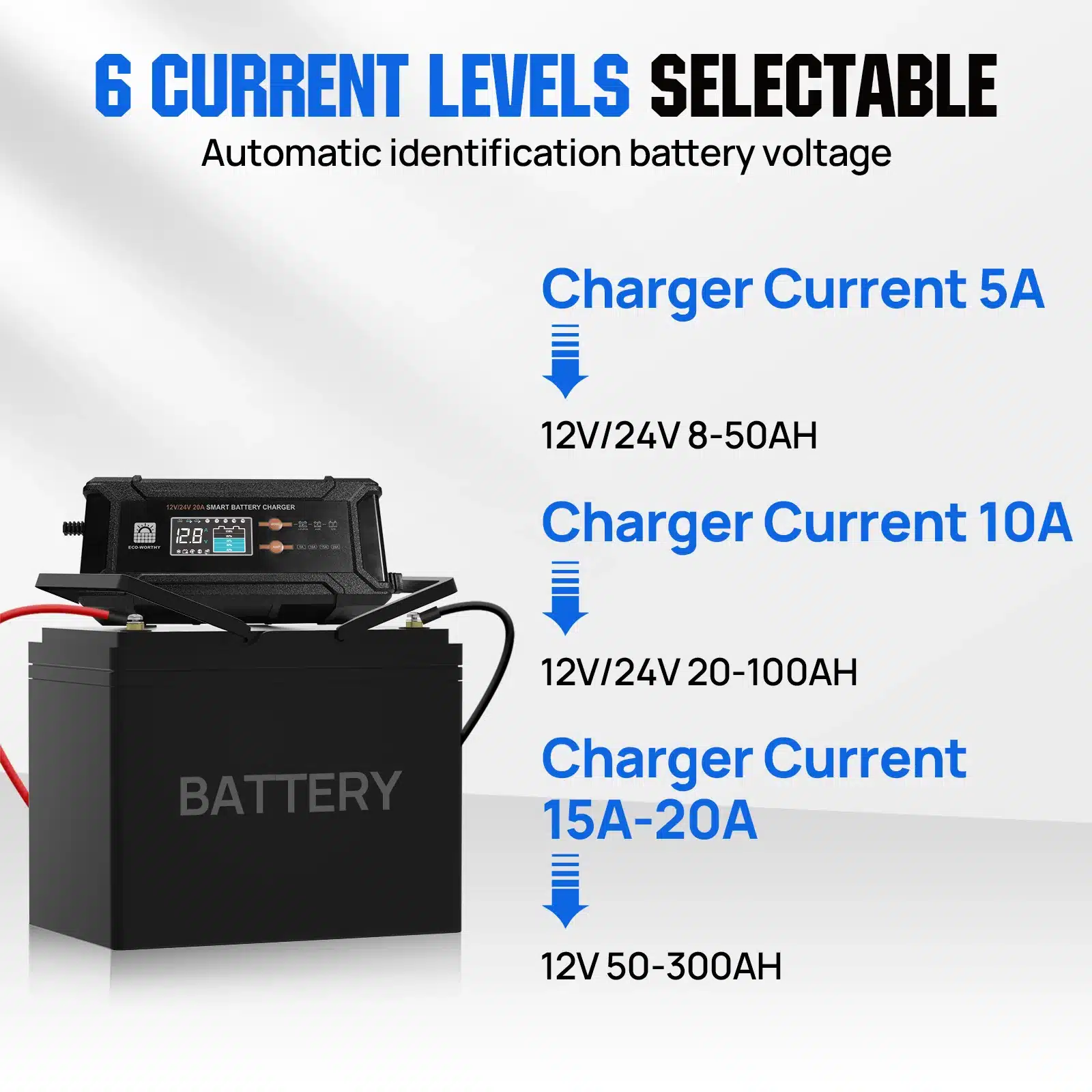 Eco-Worthy 12V/24V 20A Smart Battery Charger for Lithium Batteries - Image 3